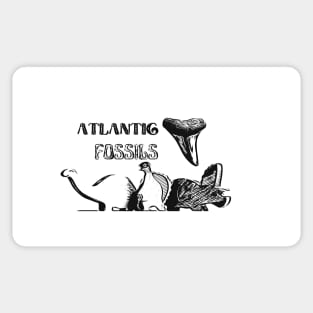 Prehistoric Dinosaurs and Atlantic Fossils Shark Tooth Sticker